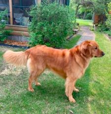 Kathy and Roy Schlemmer